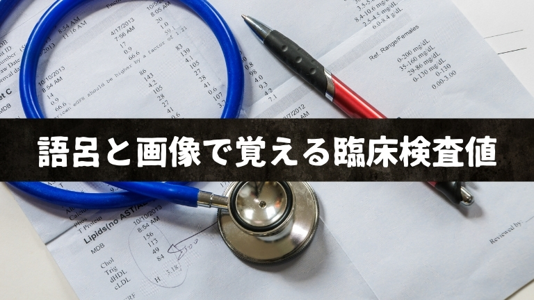 語呂合わせと画像で覚える臨床検査値 基準値の覚え方で困っている人は必見